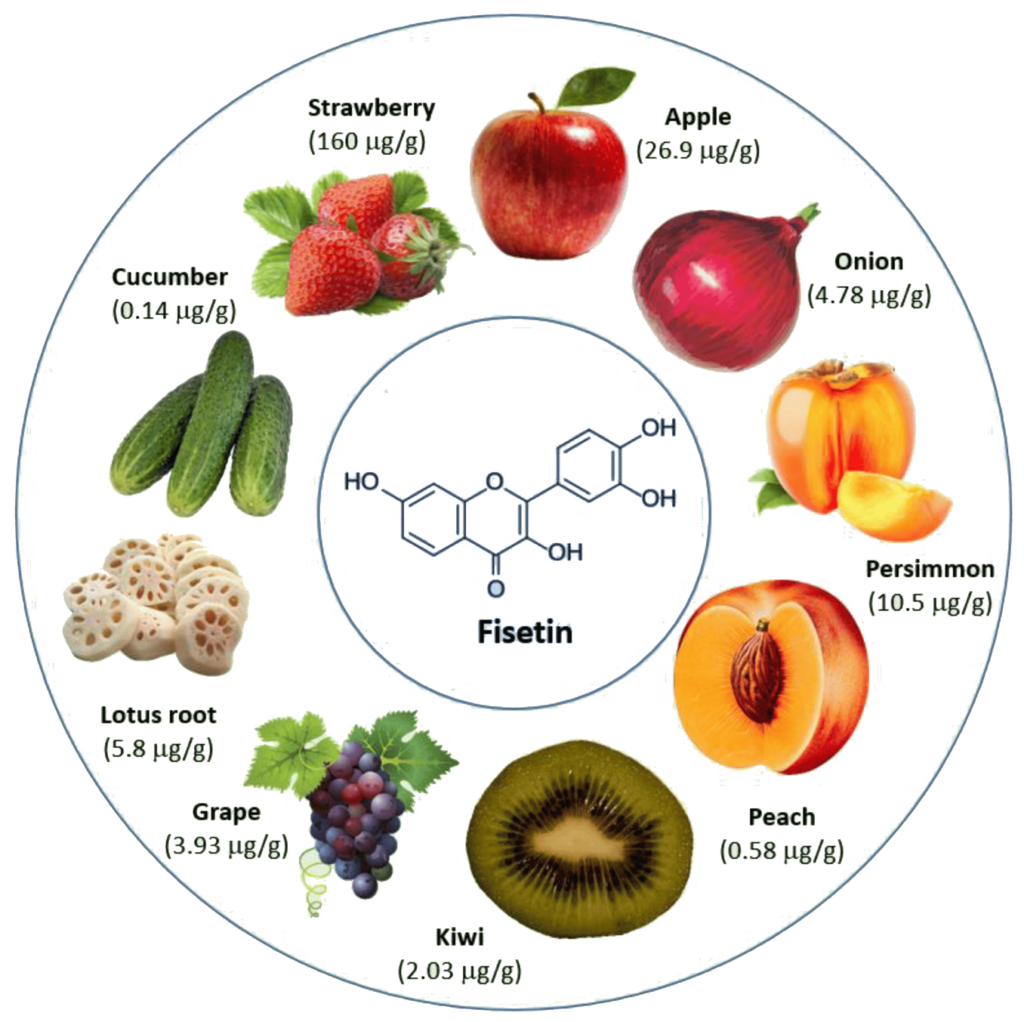 피세틴이 많은 음식 9가지 그림