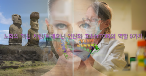 Read more about the article 노화의 핵심 세린/트레오닌 인산화 효소(mTOR)의 역할 9가지