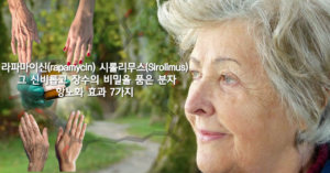 Read more about the article 라파마이신(rapamycin) 또는 시롤리무스(Sirolimus) 그 신비롭고 장수의 비밀을 품은 분자의 항노화 효과 7가지