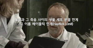 Read more about the article 불멸과 그 죽음 사이의 생물 세포 분열 한계 그 이름 헤이플릭 한계(Hayflick Limit)