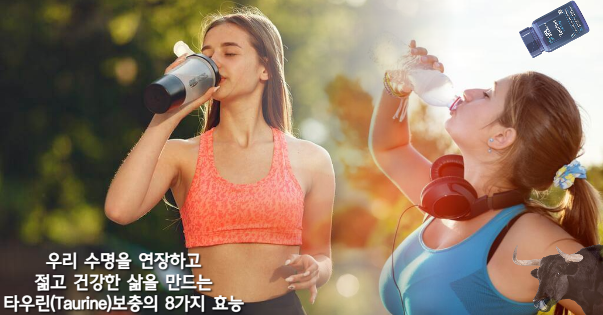You are currently viewing 우리 수명을 연장하고 젊고 건강한 삶을 만드는 타우린(Taurine)보충의 8가지 효능