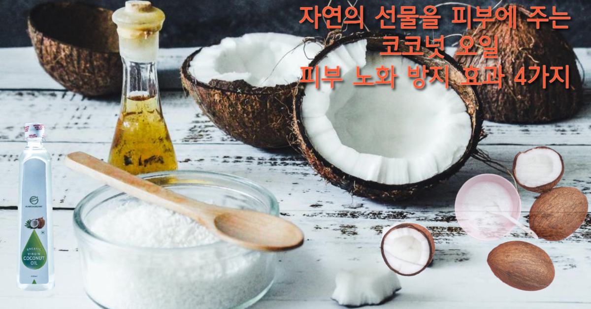 You are currently viewing 자연의 선물을 피부에 주는 코코넛 오일(coconut oil)의 피부 노화 방지 효과 4가지