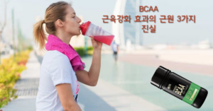 Read more about the article BCAA(Branched-Chain Amino Acids)의 근육강화 효과의 근원 3가지에 대한 진실은?