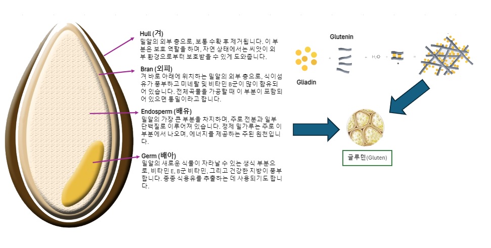 a diagram of a plant cell