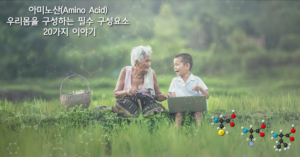 Read more about the article 아미노산(Amino Acid) : 우리몸을 구성하는 필수 구성요소 20가지 이야기
