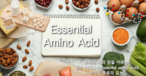 Read more about the article 우리의 피와 땀을 이루는 필수 아미노산(Essential amino acid) 9가지, 종류와 효능에 대한 상세