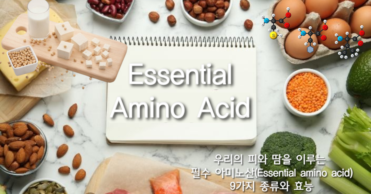 You are currently viewing 우리의 피와 땀을 이루는 필수 아미노산(Essential amino acid) 9가지, 종류와 효능에 대한 상세