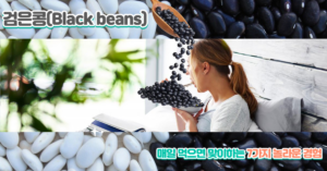 Read more about the article 검은콩을 매일 먹으면 맞이하는 7가지 놀라운 경험과 노화 방지 효과