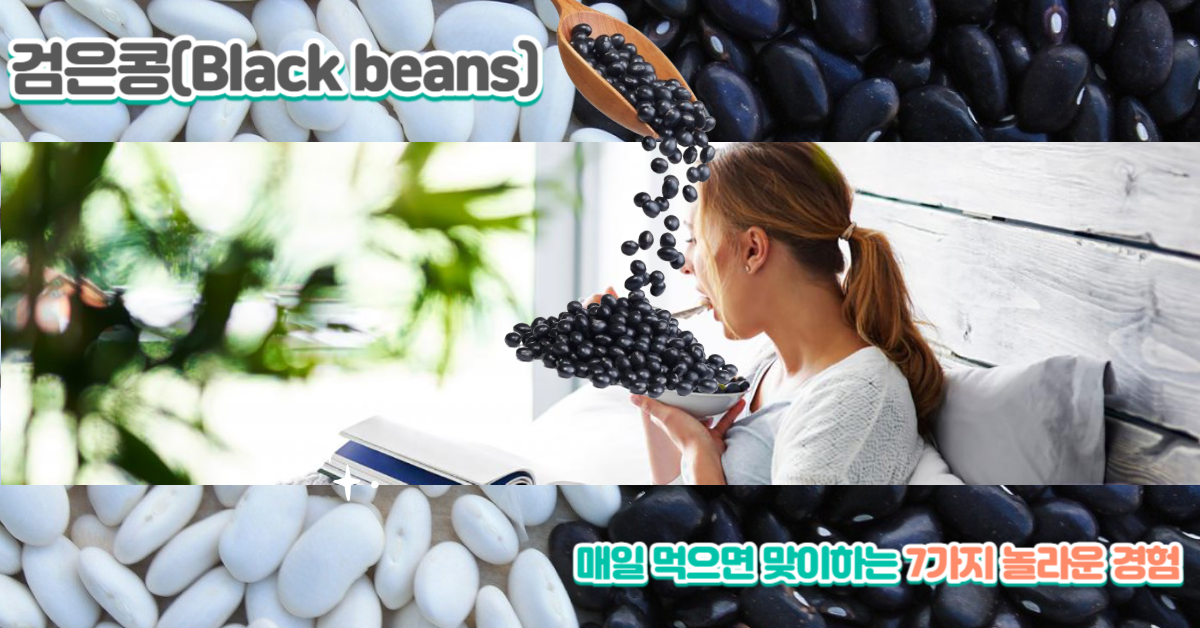 You are currently viewing 검은콩을 매일 먹으면 맞이하는 7가지 놀라운 경험과 노화 방지 효과