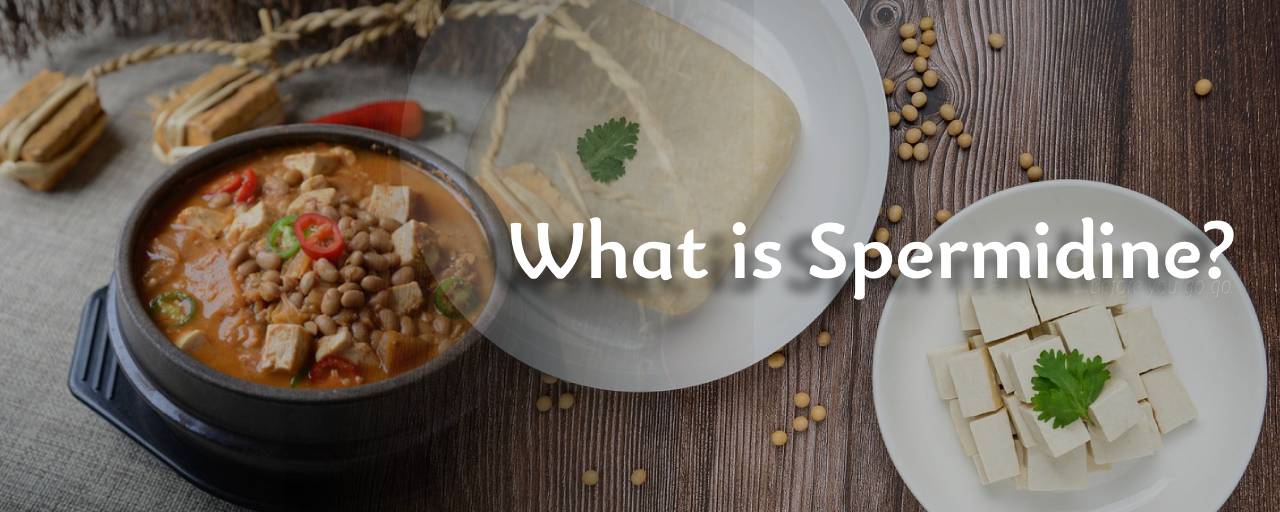 스페르미딘(Spermidine)이란 무엇인가요?의 섬네일 이미지