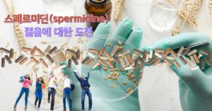 Read more about the article 스페르미딘(spermidine) 젊음에 대한 도전 그 이유 7가지