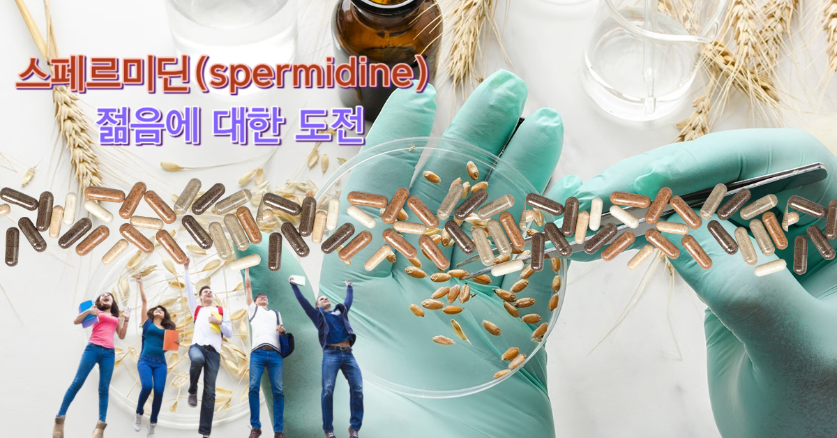You are currently viewing 스페르미딘(spermidine) 젊음에 대한 도전 그 이유 7가지