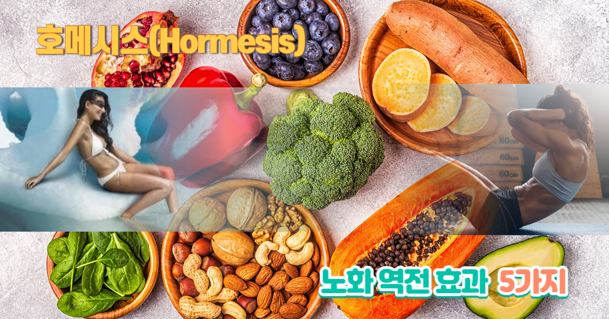 You are currently viewing 호메시스(Hormesis) 노화 역전 효과 5가지