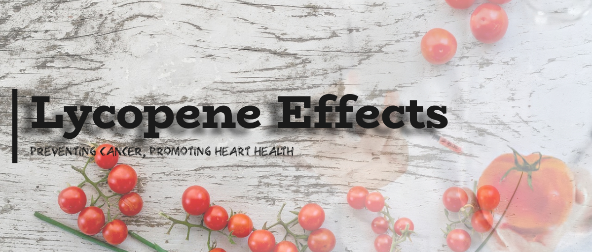 라이코펜 효과 섬네일