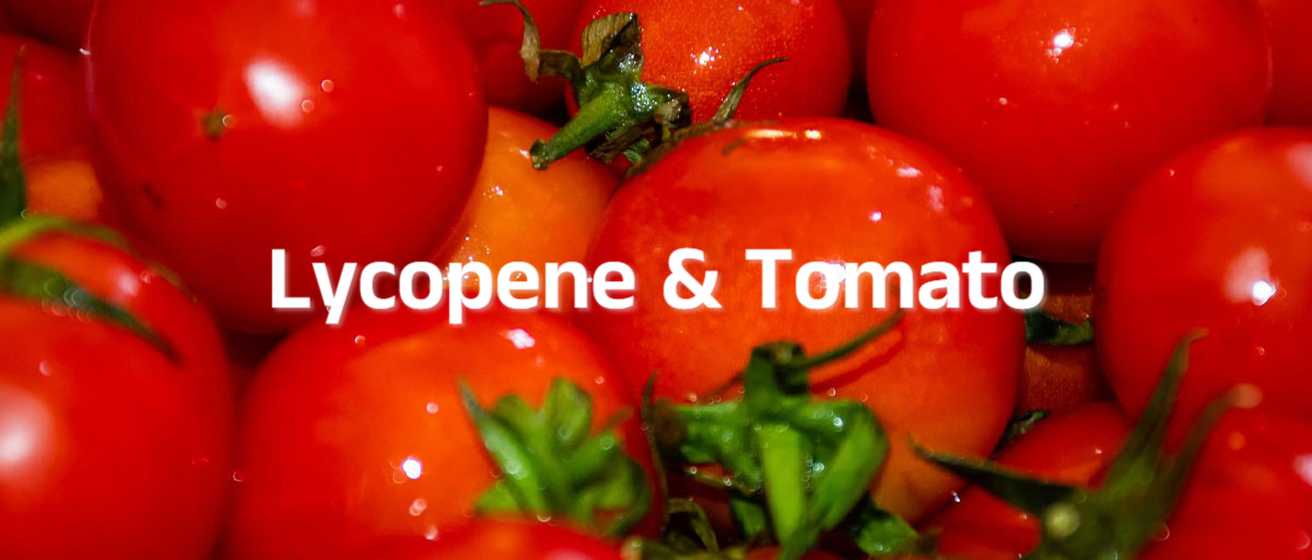 라이코펜이 많은 토마토 사진