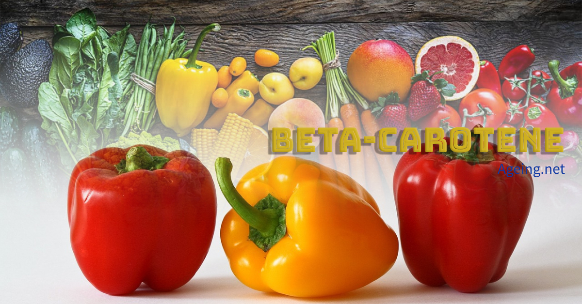 You are currently viewing 베타카로틴(beta-Carotene) 효능 7가지 그러나 부작용으로 폐암이?