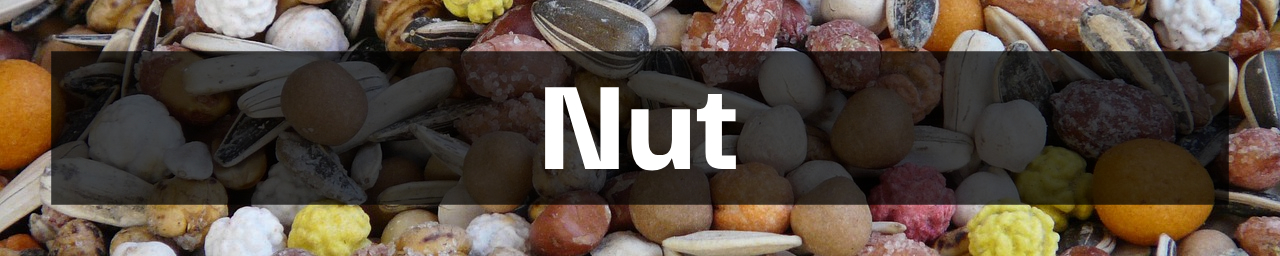 건강음식 견과류 사진