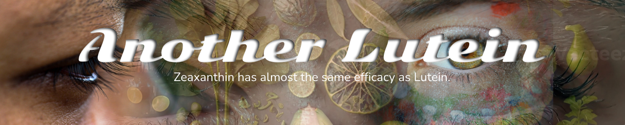 결론 "또 다른 루테인"의 섬네일 이미지