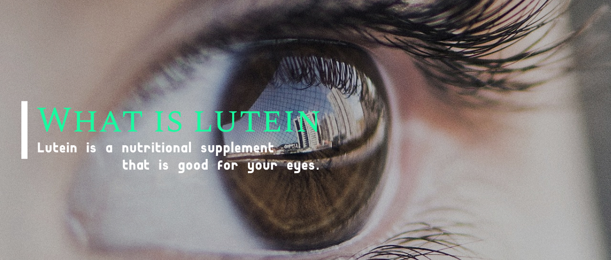 "루테인이란 무엇인가요?"의 섬네일 이미지(루테인은 눈에 좋은 영양제란 표어가 포함되어 있다)