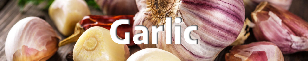 마늘(Garlic)사진