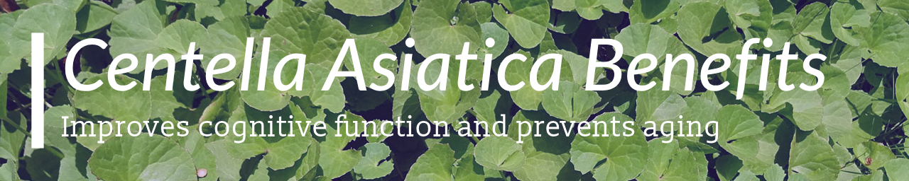 병풀 추출물(센텔라 아시아티카,Centella asiatica) 효능은 무엇인가요?의 섬네일