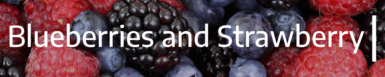블루베리와 딸기 섬네일 사진