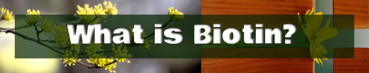 비오틴이란 무엇인가요? 섬네일