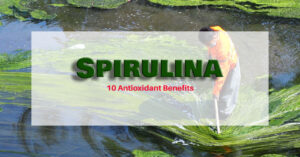 Read more about the article 스피루리나(Spirulina)는 간수치를 좋게하며 또 다른 9가지 항산화 효능을 준다.