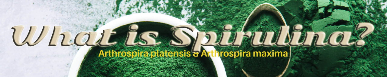 스피루리나란 무엇인가요? 섬네일 이미지