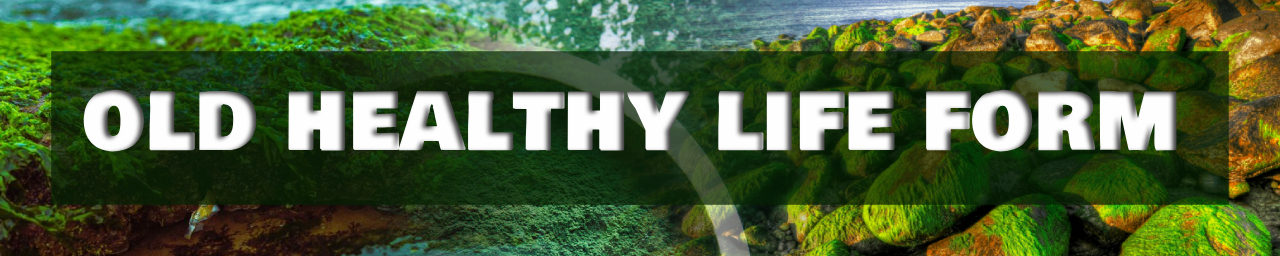 결론:오래된 건강 생명체(섬네일 이미지)