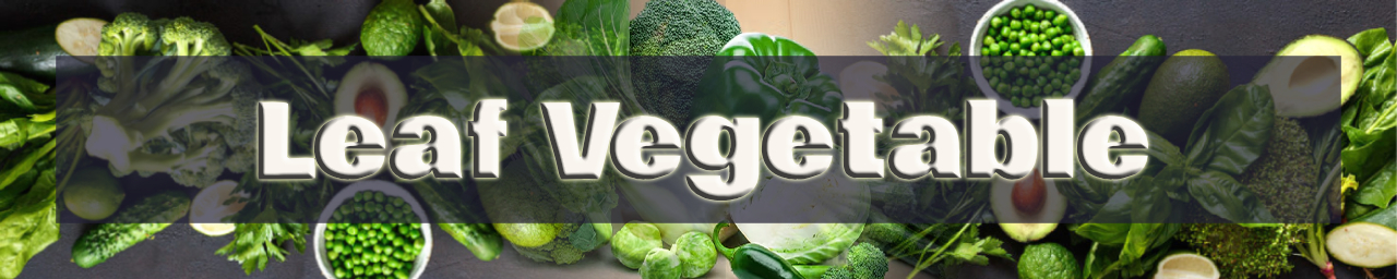 당뇨에 좋은 음식(케일, 상추등)여러가지 잎 채소