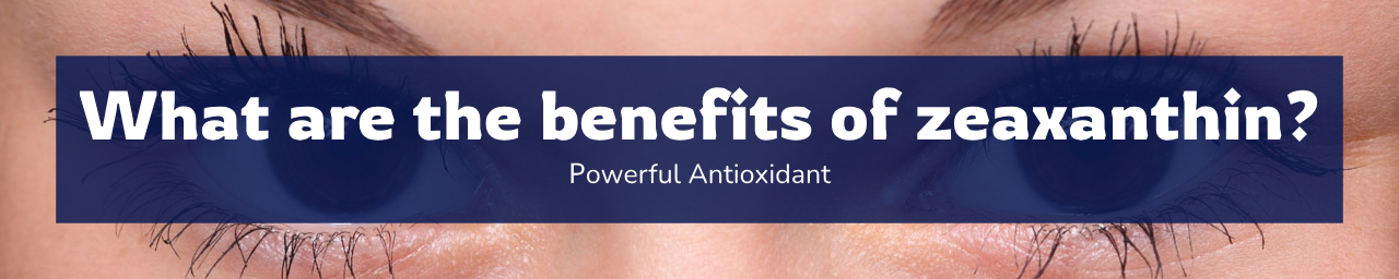 지아잔틴의 효능은 무엇인가요?(섬네일 이미지)