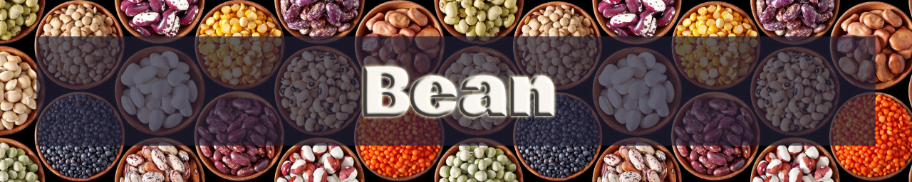 당뇨에 좋은 음식인 콩