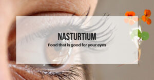 Read more about the article 한련화(Nasturtium),한련, 한련초 효능 6가지는 눈에 좋은 음식이 된다.