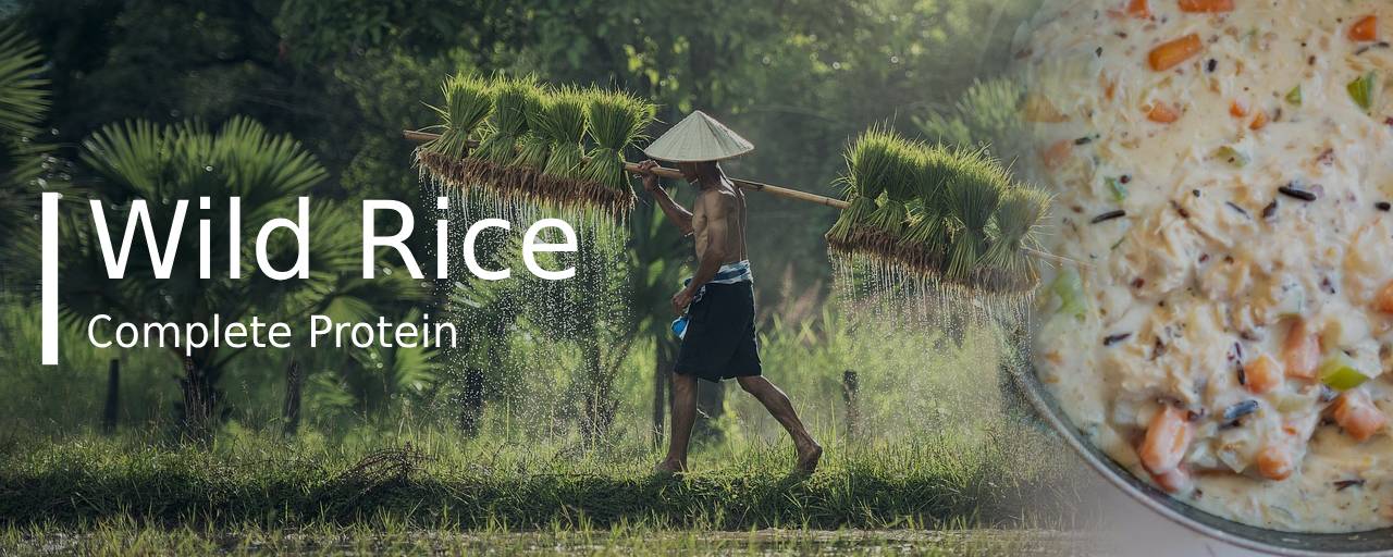 통곡물 종류중 야생쌀(Wild Rice)