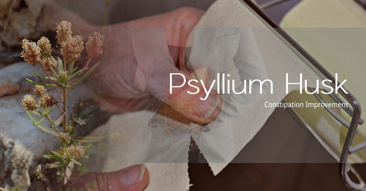 You are currently viewing 차전자피(Psyllium husk)의 식이 섬유 효능 7가지와 많이 먹으면 나타나는 부작용!