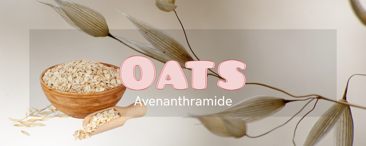 톻곡물 종류: 통귀리(Oats)사진 