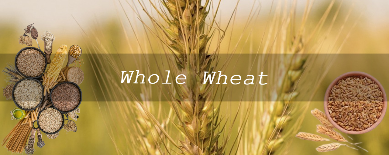 통곡물 종류중 통밀(Whole Wheat) 사진