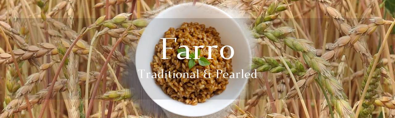 통곡물 종류중 "파로(Farro)란 무엇인가요?"의 섬네일 이미지