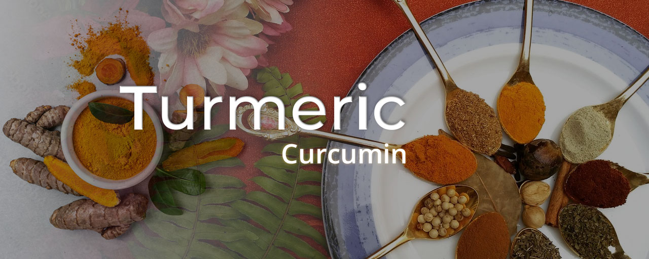 당뇨에 좋은 뿌리채소중 강황(Turmeric, Curcuma longa)사진
