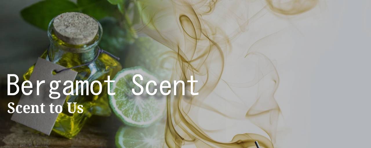 "결론: 우리에게 향기를" 의 섬네일 이미지