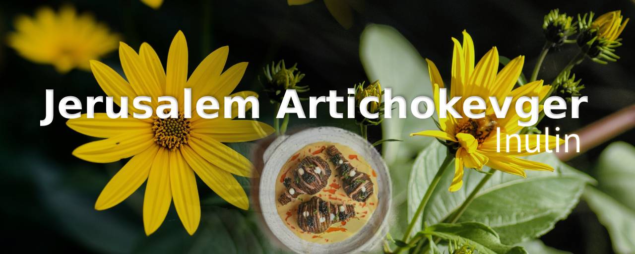 당뇨에 좋은 뿌리채소 돼지감자(Jerusalem artichoke, Helianthus tuberosus)사진