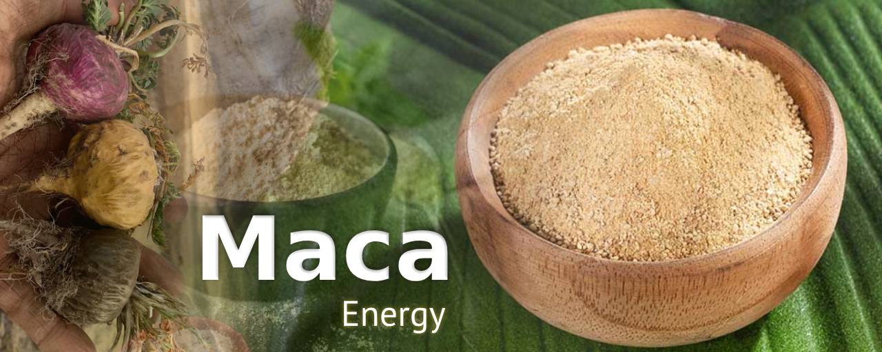 당뇨에 좋은 뿌리채소 마카(Maca, Lepidium meyenii) 사진
