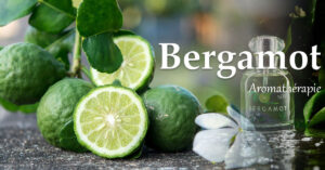 Read more about the article 베르가못(bergamot) 향기 그 아로마테라피 효능과 다른 5가지 심신 건강 이점