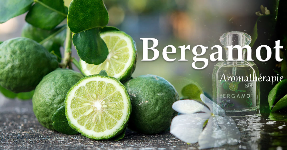 You are currently viewing 베르가못(bergamot) 향기 그 아로마테라피 효능과 다른 5가지 심신 건강 이점