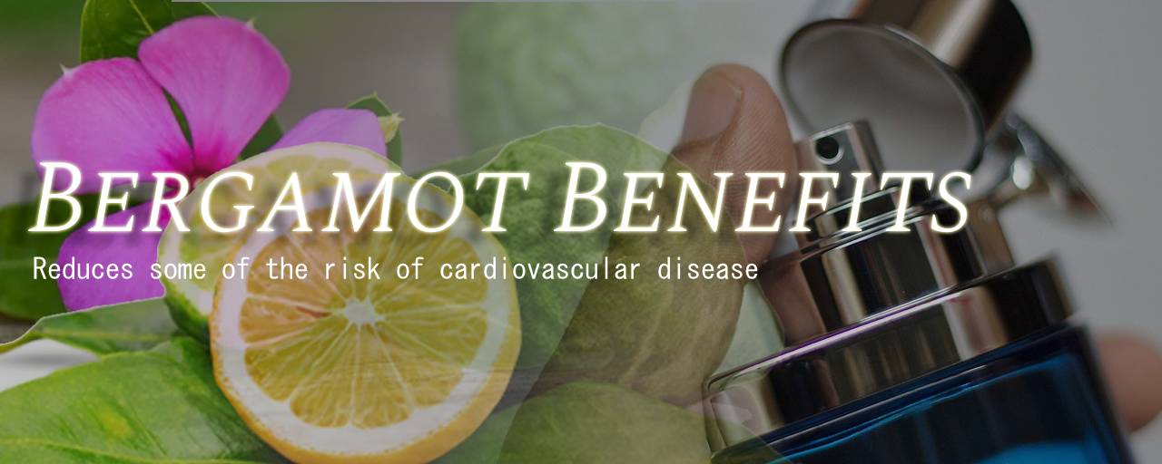 "베르가못의 효능은 무엇인가요?"의 섬네일 이미지