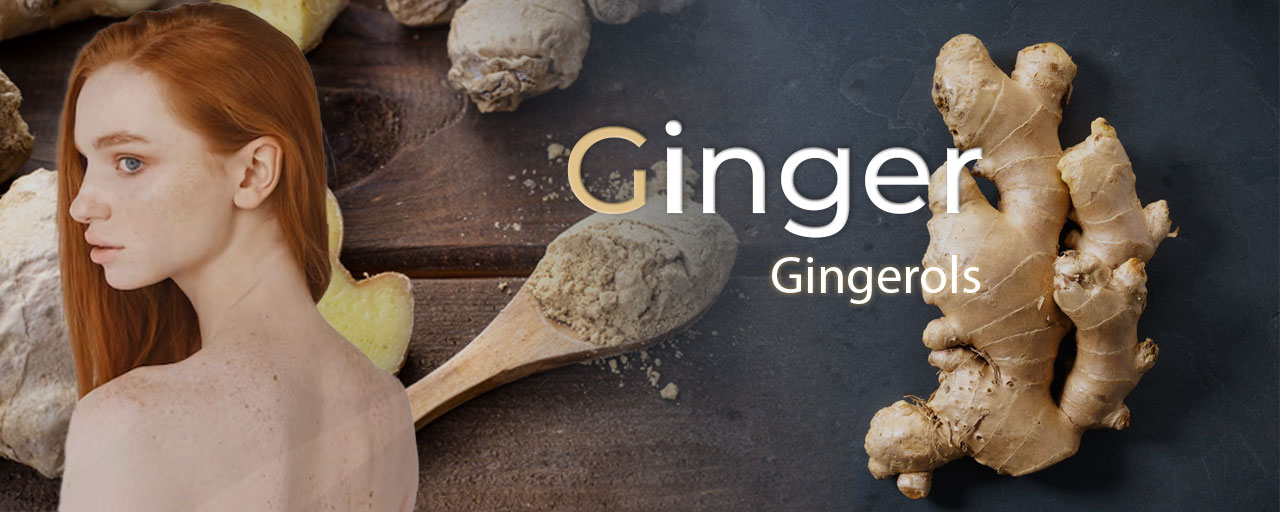 당뇨에 좋은 뿌리채소 생강(Ginger, Zingiber officinale)사진(진저색 여성도 생강옆에 안아있다)