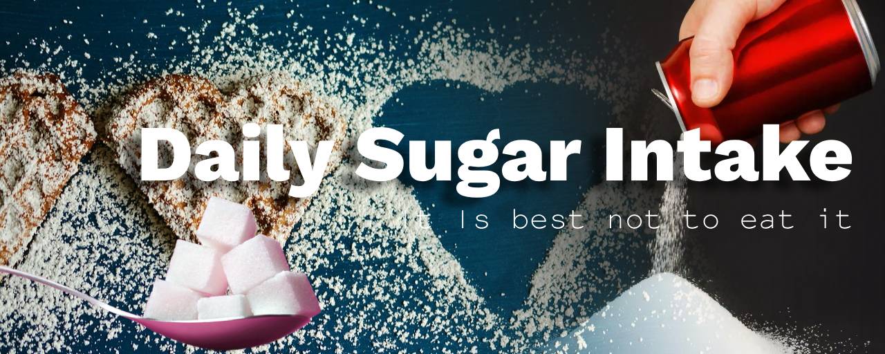 하루 당 섭취량은 얼마를 권장하는가요?의 섬네일 이미지