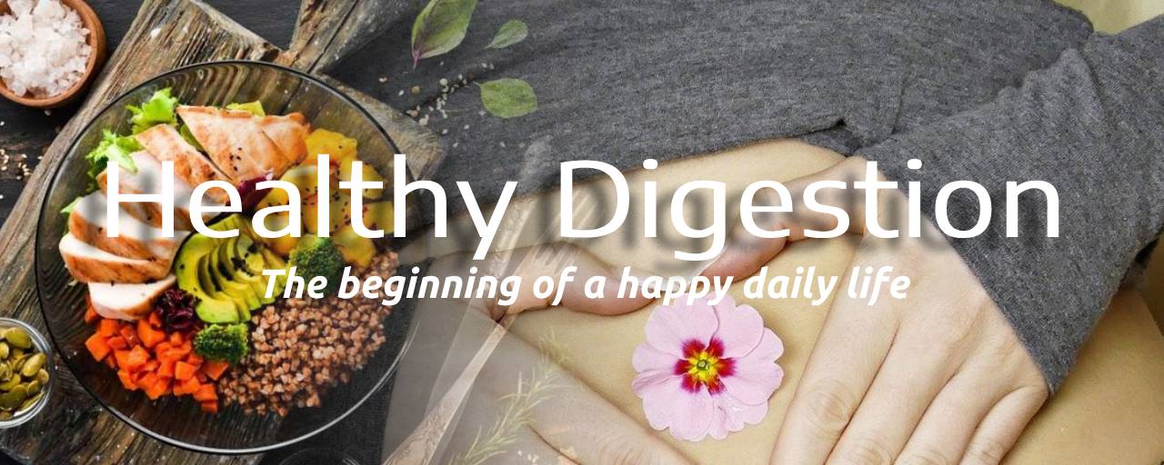 소화가 잘되는 음식 결론: 건강한 소화, 행복한 일상의 시작 섬네일 이미지