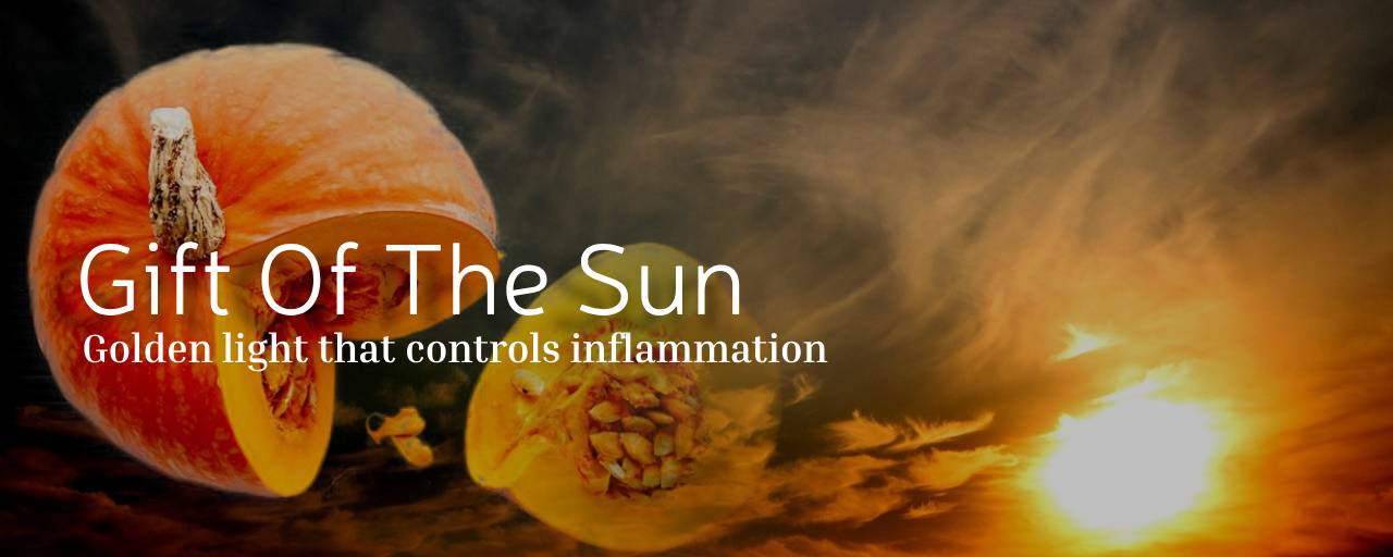 단호박, 태양의 선물: 염증을 다스리는 황금 빛 위로의 섬네일 이미지
